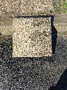 Dalle béton gravillonner beige  