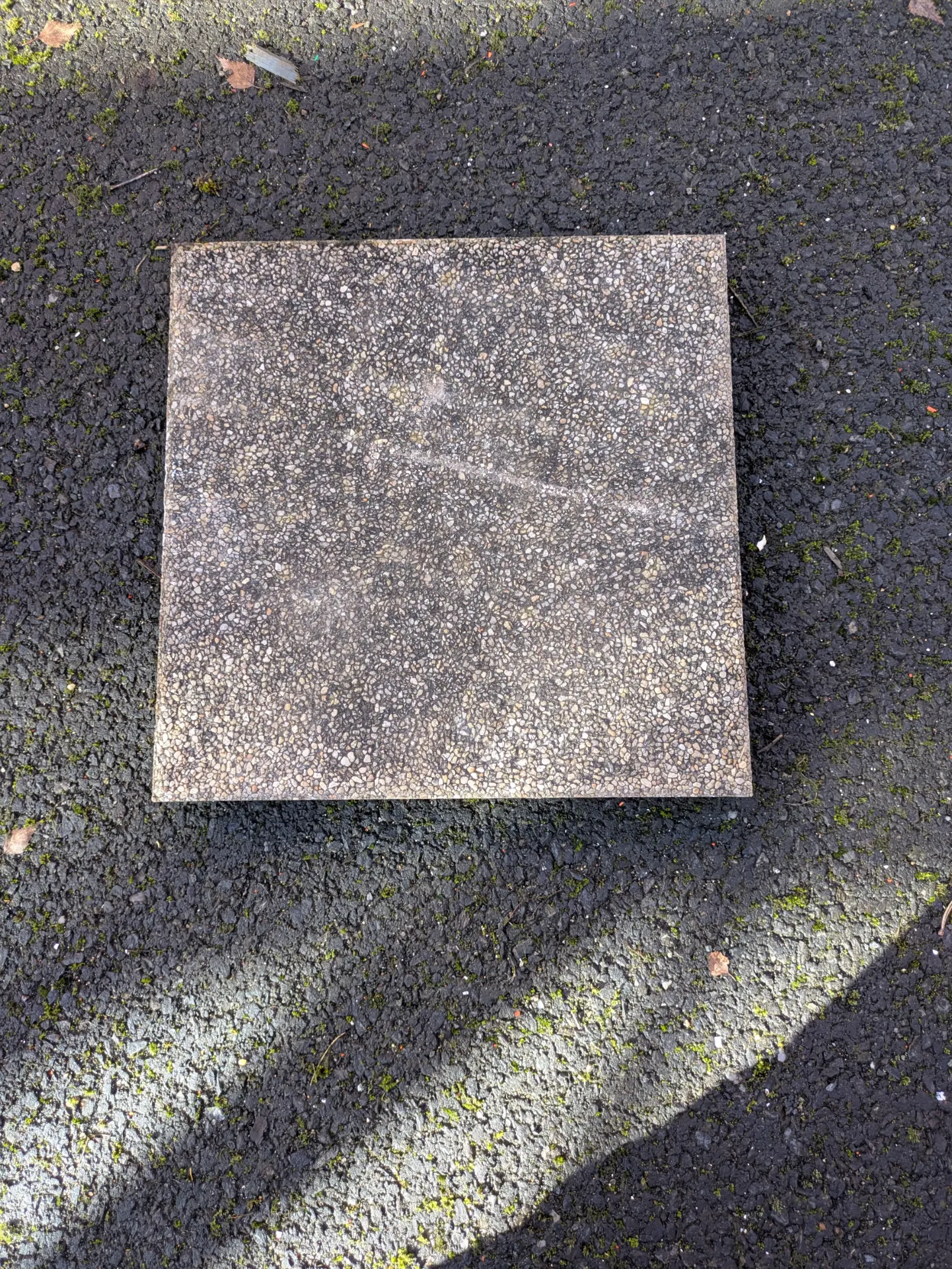 Dalle béton gravillonner beige  