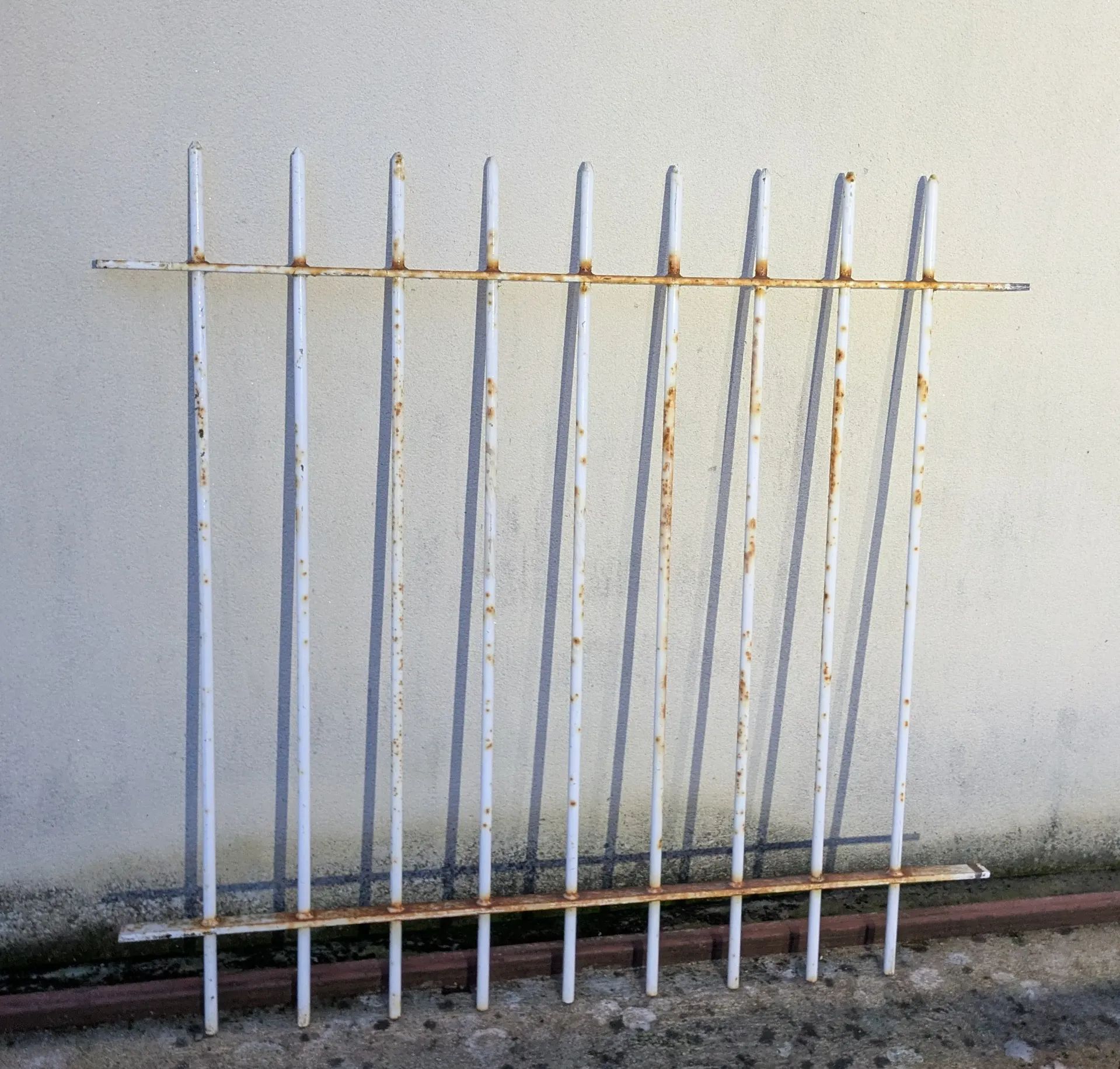 Grille de défense H: 120 cm x Largeur : 100 cm 