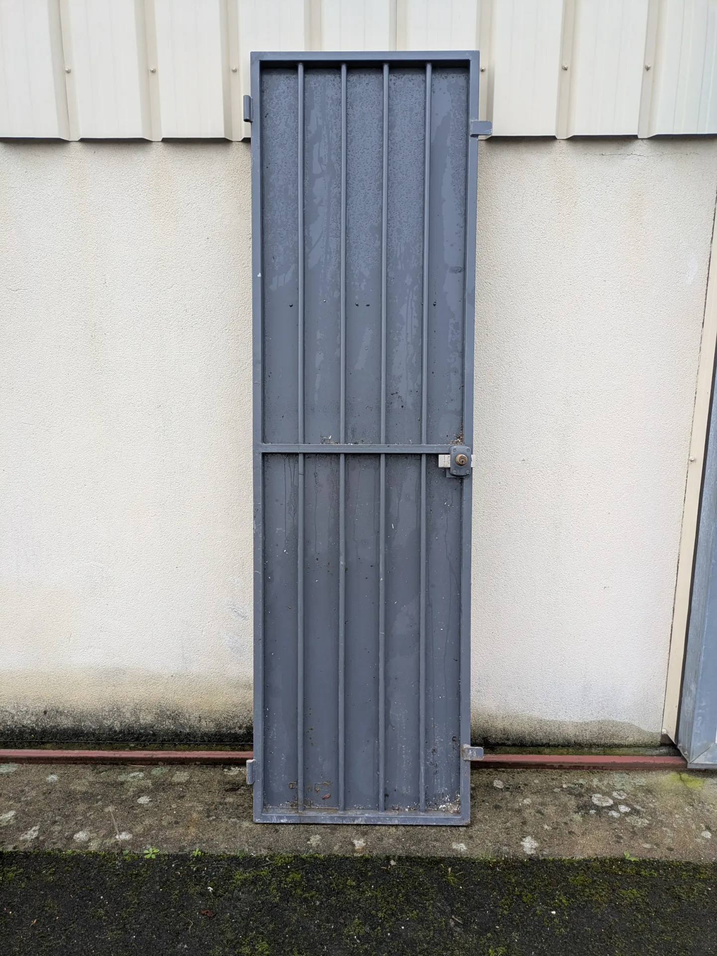 Grille avec gonds 2m30 x 66 cm