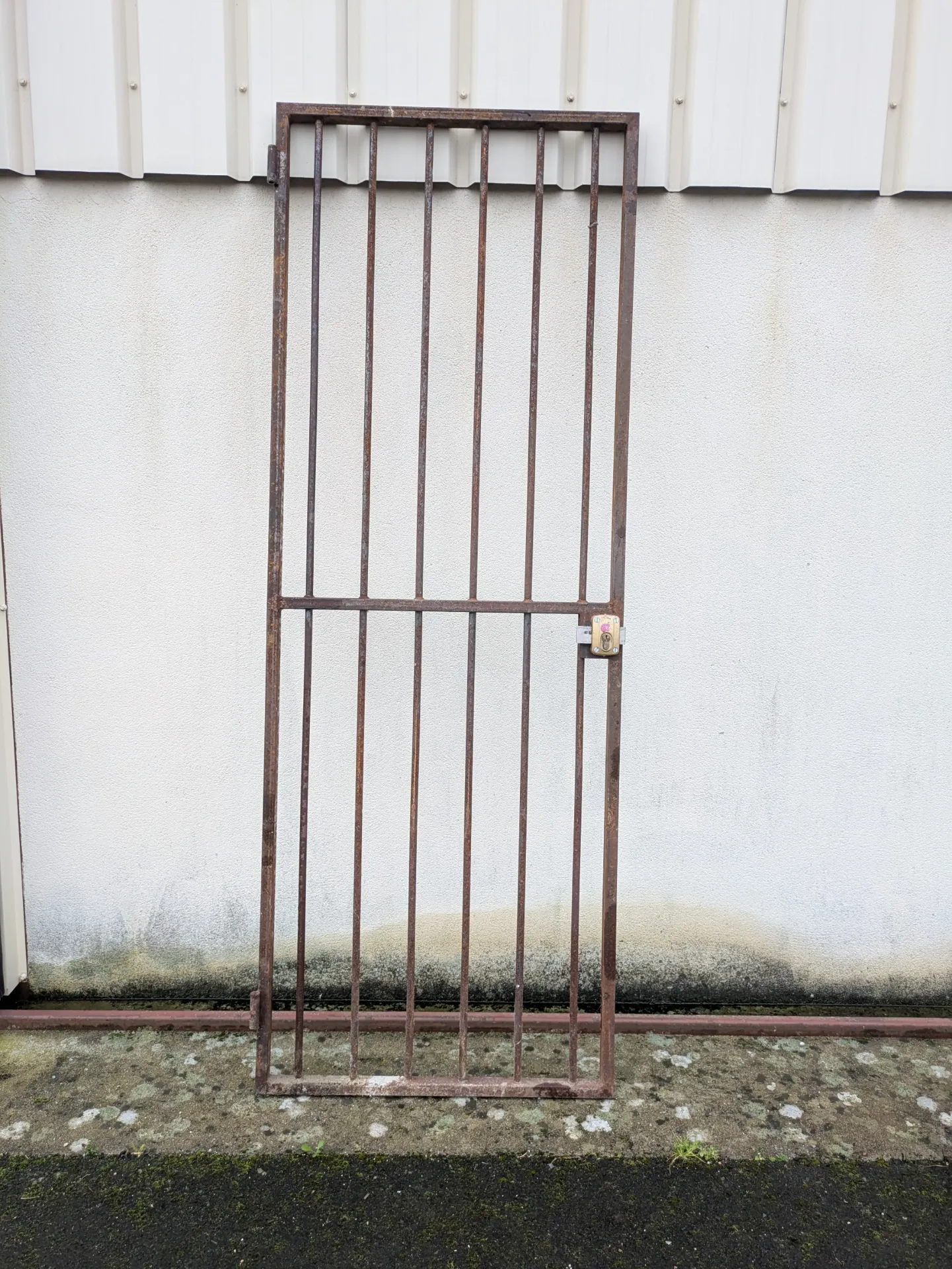 Grille avec gonds 2m22 x 81 cm