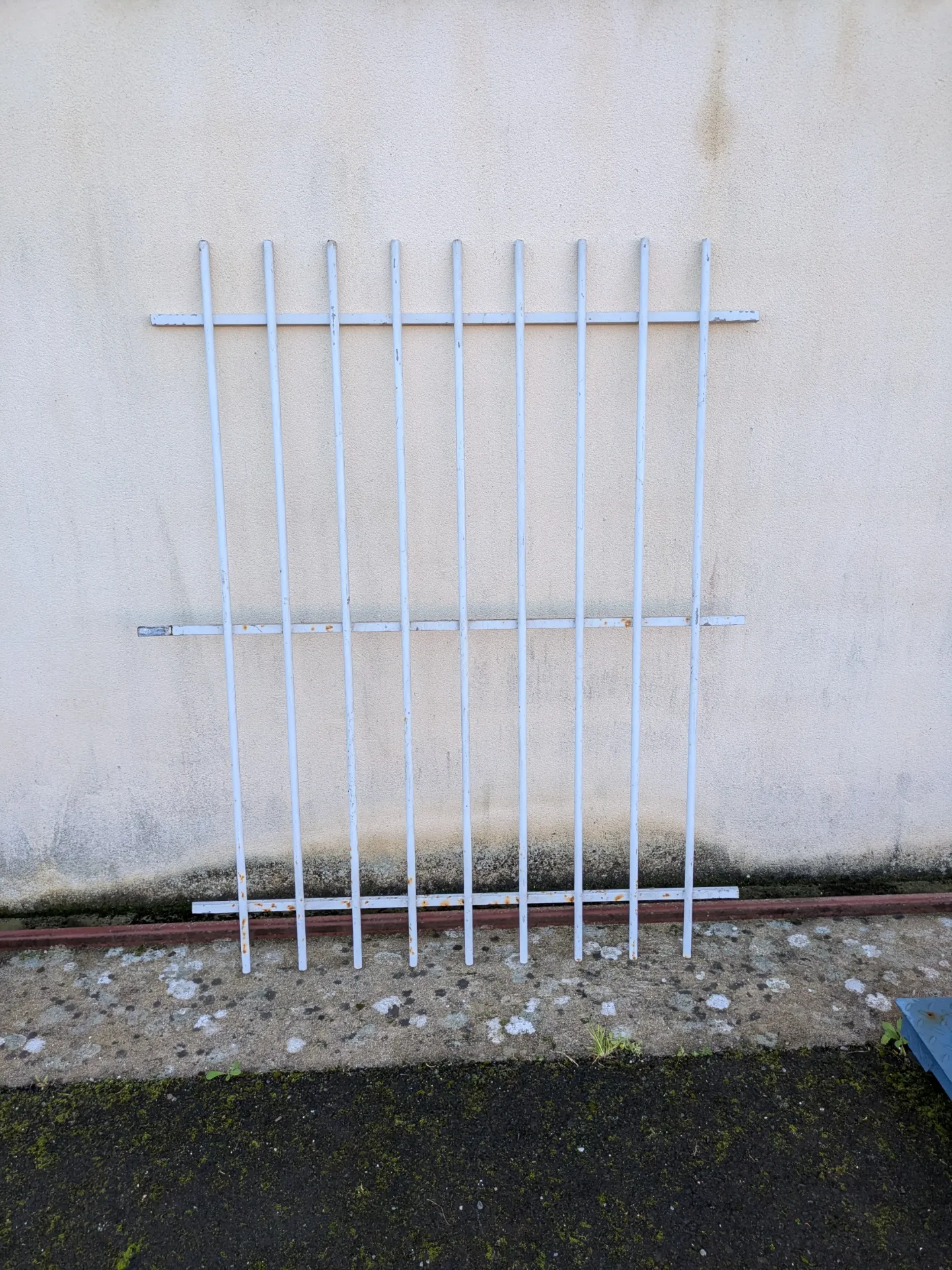 Grille de défense 1m60 x 1m05
